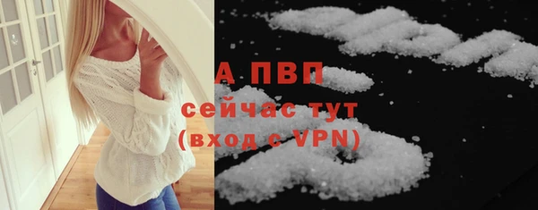 ECSTASY Дмитриев