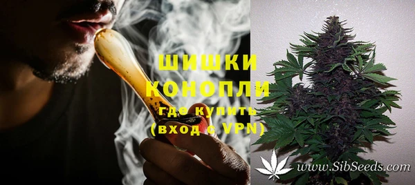 дживик Дмитров